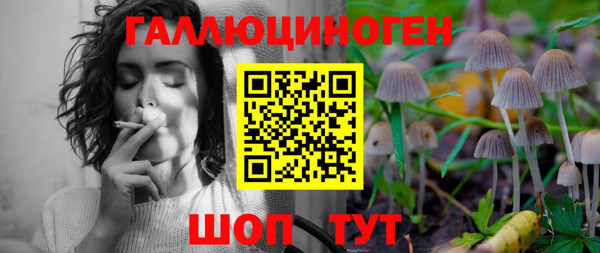 Галлюциногенные грибы мицелий  Вход с VPN  Челябинск 